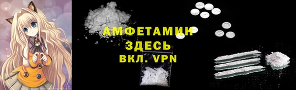 метадон Алексин