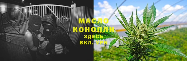 метадон Алексин