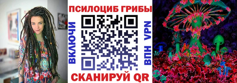 блэк спрут как зайти  Новомичуринск  Псилоцибиновые грибы мухоморы 